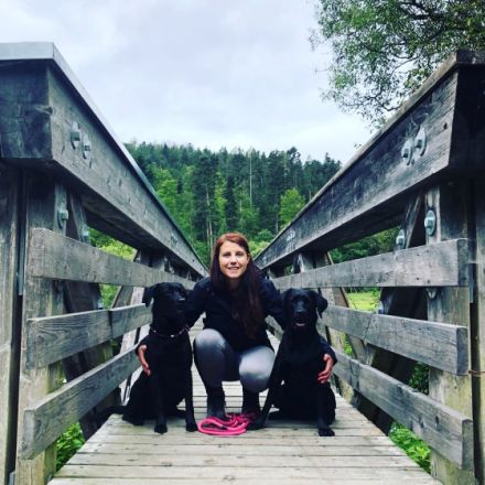 Labradorzucht von Brunnwiesen