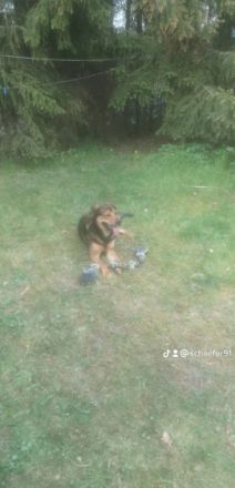 Allgemeines Abgabe mit 12 Wochen um den 17.10.2022