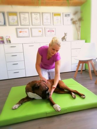 Tierheilpraktikerin Sonja Fuchs