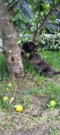 Ab dem 31.08.2022 haben wir noch zwei süße Mädchen