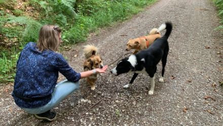 Der kleine Jacques sucht seine Menschen! Er befindet