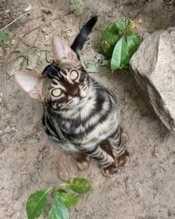 Besuchen Sie gerne unsere Homepage: https:/