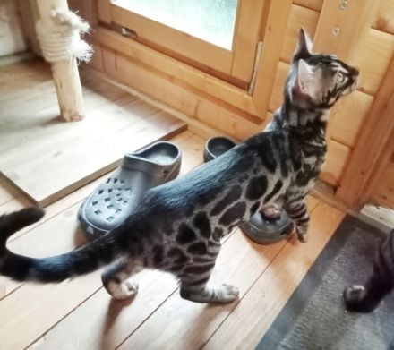 Besuchen Sie gerne unsere Homepage: https:/