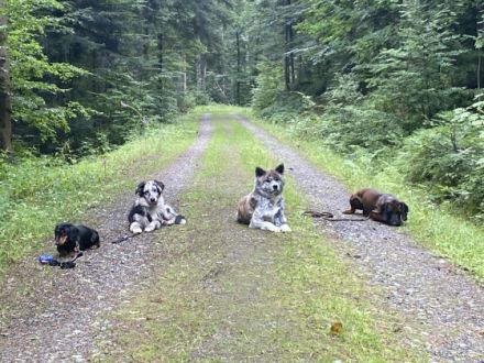 Arya wäre jetzt bereit ihre Koffer zu packen und in ihr