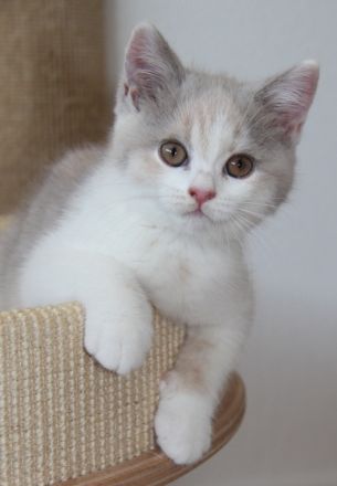 Einige von unserer süßen Rasselbande sind ab September