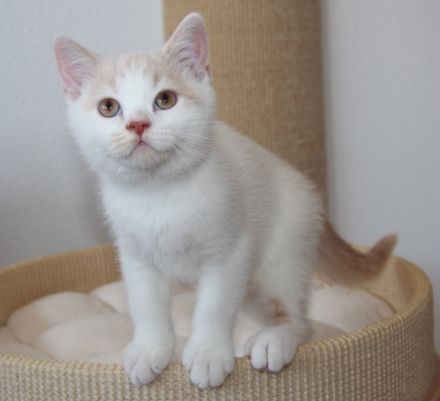 Einige von unserer süßen Rasselbande sind ab September