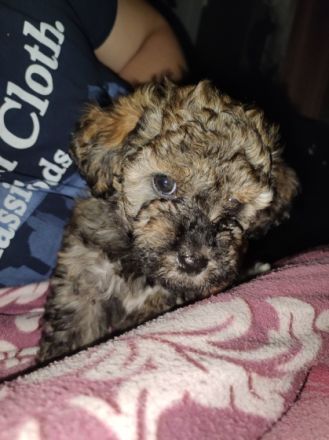 Unsere Rasselbande ist am 10.08.2022 auf die Welt