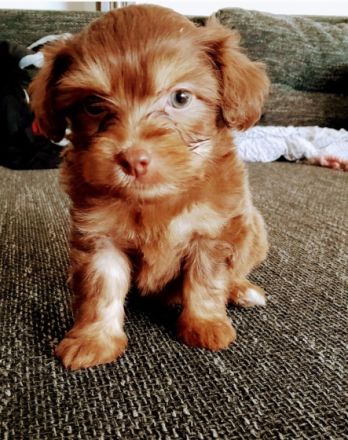 Unsere Rasselbande ist am 10.08.2022 auf die Welt