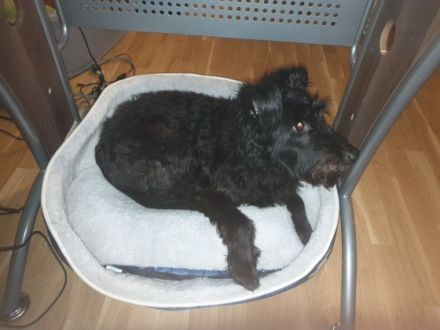 Durch meiner Arbeit kann ich mich nicht mehr richtig um