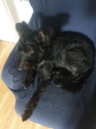 Durch meiner Arbeit kann ich mich nicht mehr richtig um