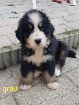 Unsere Fly von der Römerschanze hat am 17.06.22 , 8