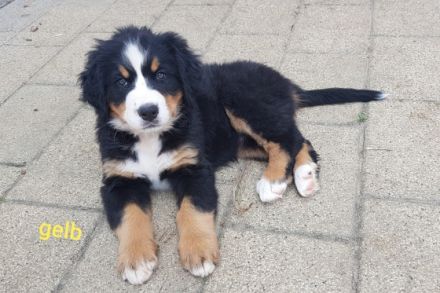 Unsere Fly von der Römerschanze hat am 17.06.22 , 8