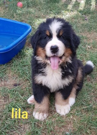 Unsere Fly von der Römerschanze hat am 17.06.22 , 8