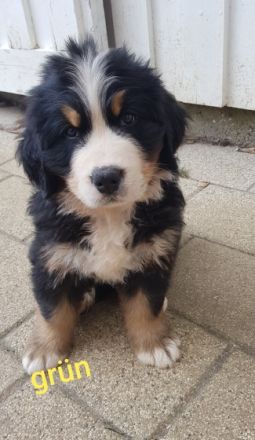 Unsere Fly von der Römerschanze hat am 17.06.22 , 8