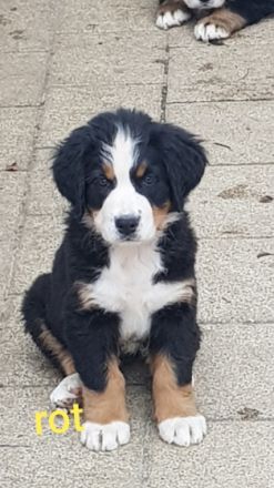 Unsere Fly von der Römerschanze hat am 17.06.22 , 8