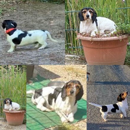 Suchen sie vielleicht etwas besonderes in Kurz oder