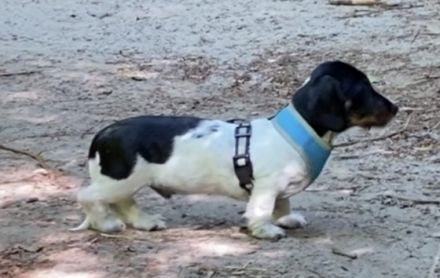 Suchen sie vielleicht etwas besonderes in Kurz oder