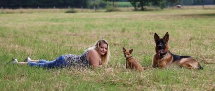 Sarahs Wild Dog Hundeschule und Verhaltensberatung