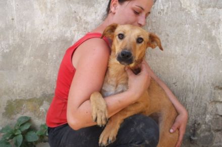 Terrier-Mischling-Rüde-Bacon ca 50cm