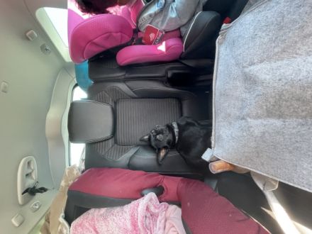 Jackson, Hi ich gebe schweren Herzens meinem makellosen