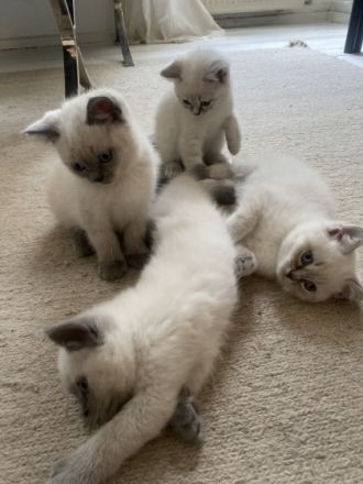 Wir sind eine private, familiäre, seriöse und