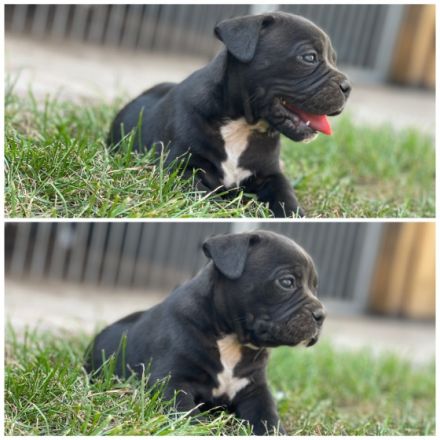 Guten Tag, Hiermit möchten wir Ihnen unsere