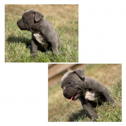 Guten Tag, Hiermit möchten wir Ihnen unsere