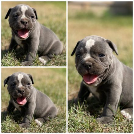 Guten Tag, Hiermit möchten wir Ihnen unsere