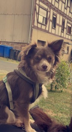 Sky, Ich muss mich leider schweren Herzens von meinem