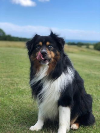 Fascination ID Black Deamon DNA-VP