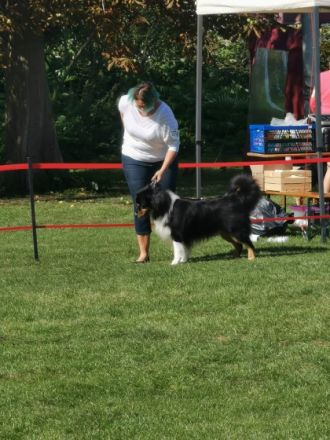 Fascination ID Black Deamon DNA-VP