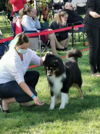 Fascination ID Black Deamon DNA-VP