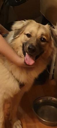 Milo, Hallo mein Name ist milo bin 10 Monate alt Ich