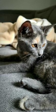 Hallo ihr Lieben, mein Name ist Moritz und ich suche