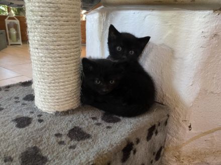 Hallo ihr Lieben, mein Name ist Moritz und ich suche