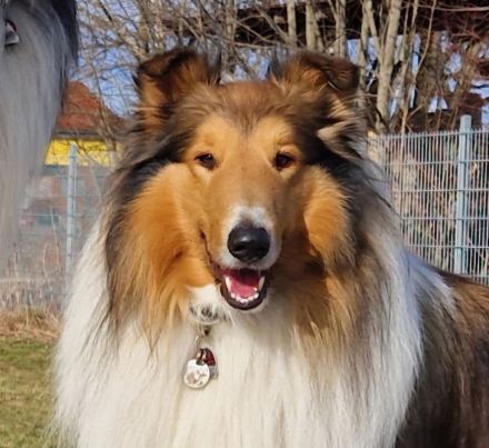 Fairytales Our Favorite "Baily"