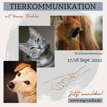 Wochenendseminar Tierkommunikation