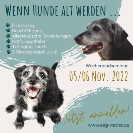 Wochenendseminar: Wenn Hunde alt werden - der geriatrische Hund
