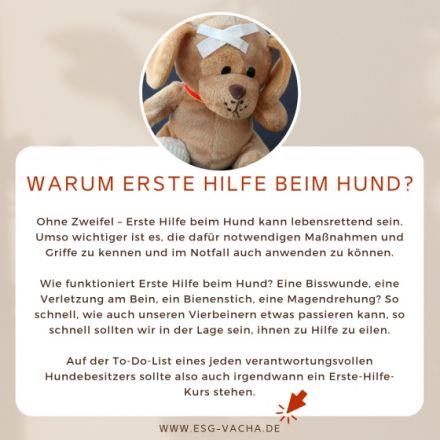Erste Hilfe für Kleintiere - Tagesseminar