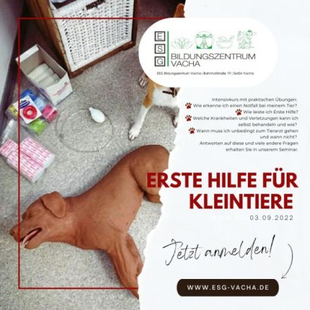 Erste Hilfe für Kleintiere - Tagesseminar
