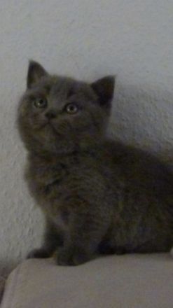 Der letzte sucht noch seinen Dosenöffner:) Er ist