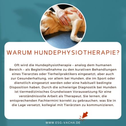 Intensivausbildung Hundephysiotherapie