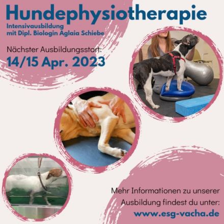 Intensivausbildung Hundephysiotherapie