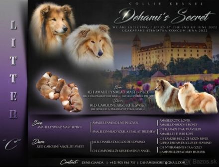 Dehami's Secret Celestial Star