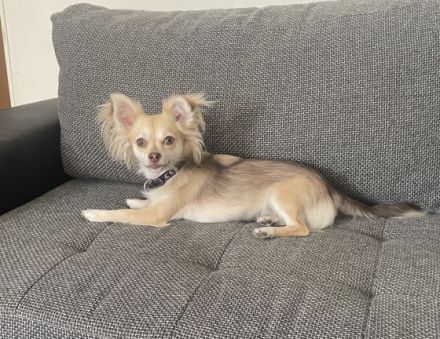 Stella, Hallo ich muss mich leider von schweren Herzen