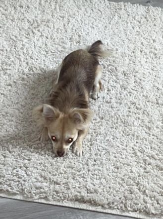 Stella, Hallo ich muss mich leider von schweren Herzen