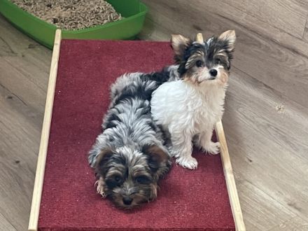 Unsere Babys sind was ganz besonders:-) Unsere