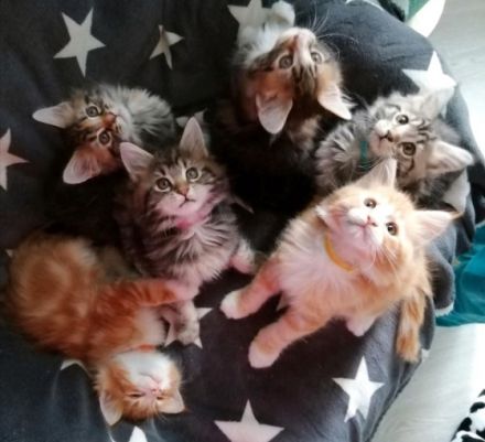 Am 28.06.2022 hat unsere Mia zum ersten Mal, 6