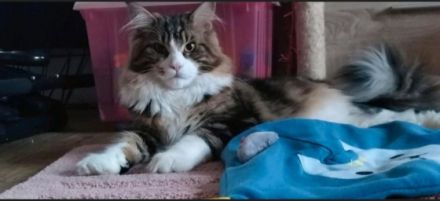 Am 28.06.2022 hat unsere Mia zum ersten Mal, 6