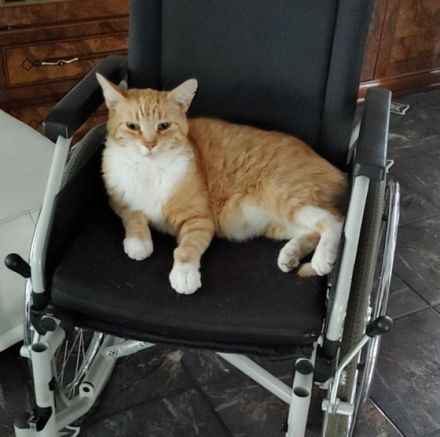 Das ist Felix und ist 11 Jahre alt. Er hat sein